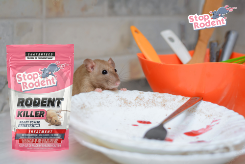 100% tõhusad roti- ja hiirevastased lahendused