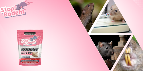 Surm rottidele : tõhus ja ohutu kasutamine tammides ja hüdroelektrijaamades