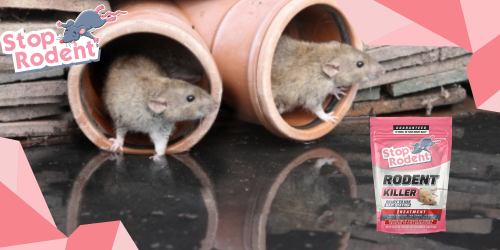 Keskkonnasõbraliku näriliste tõrjetoote, nagu "Surm rottidele" kasutamise eelised